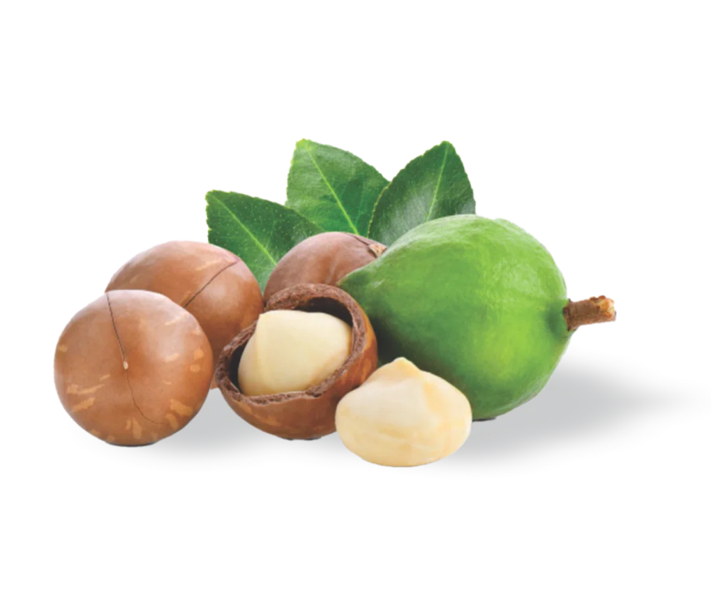 Ativos da linha Absolut Restore